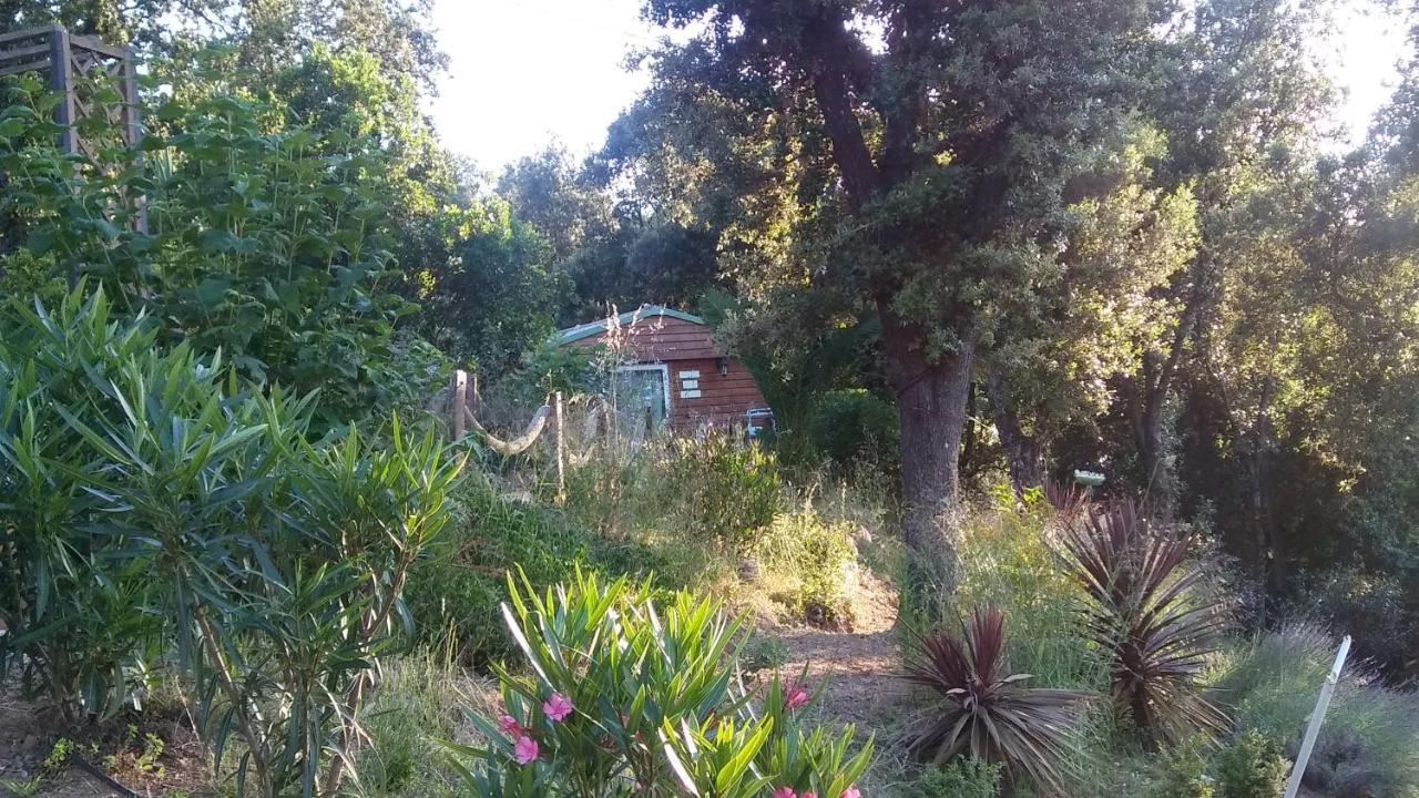 Le Petit Chalet Porticcio  Exterior foto